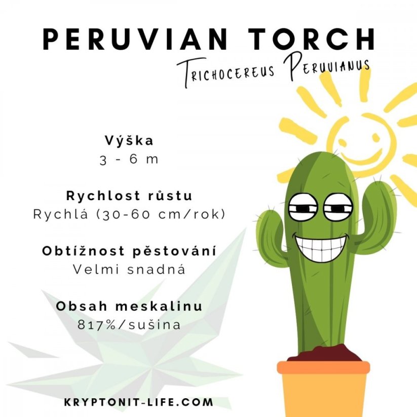 Sada na pěstování kaktusu - Peruvian torch - trichocereus peruvianus