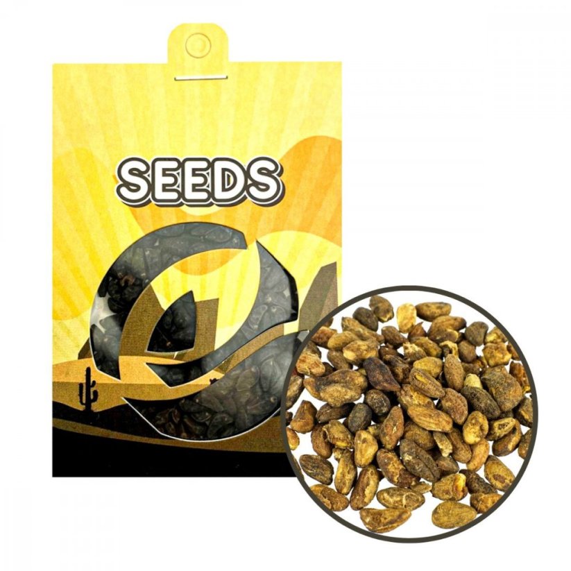 Voacanga (Voacanga africana) - graines - 5 g