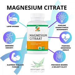Magnesiumcitrat | 100 Tabs - Fit-Up