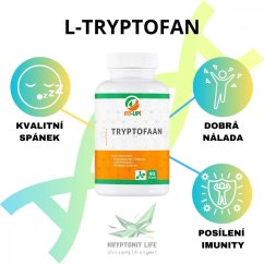 L-Tryptophan 1000 mg / B6 | 90 Kapseln - Fit-Up