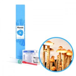 Sclerotia Georgia Sporen (Fläschchen) - 10 ml