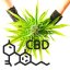 CBD/CBG Rock Terpene Infused 95% Pure (OG Kush)