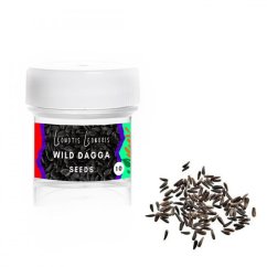 Wild dagga (Leonotis leonurus) - seeds - 10x