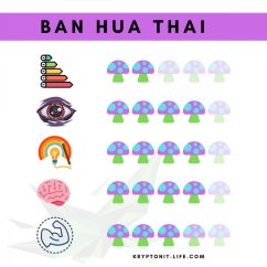 Ban Hua Thai Sporen (Spritze) – 20 ml