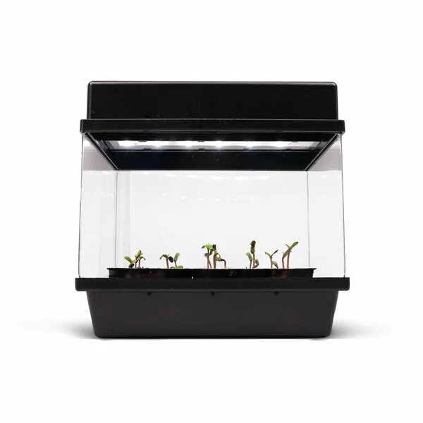 Autoflower Seed Starter Kit (Selbstblühende Starterbox)