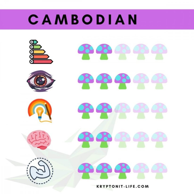 Cambodian Spory (Stříkačka) - 20 ml