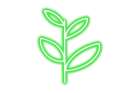 Exotic seeds
