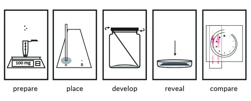 Cannabinoids Testovací sada (TLC) - PRO Test - Drogový test - % čistota