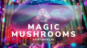 Psychedelické houby: Magický svět lysohlávek, historie a současný výzkum