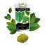 NE-KRATOM - Mitragyna Javanica - Prášek