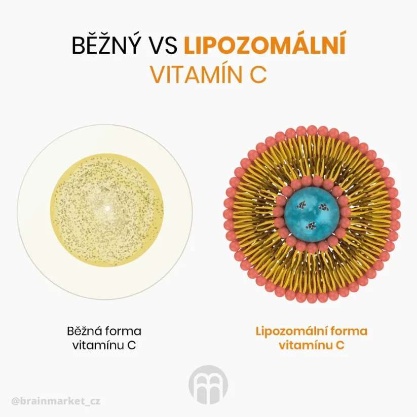 BrainMax Women Multivitamin | Multivitamín pro ženy s 33 aktivními látkami pro imunitu, pleť a vlasy – 90 kapslí