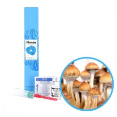 Golden Teacher Sporen (Fläschchen) - 10 ml