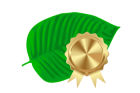 Premium Ne-kratom