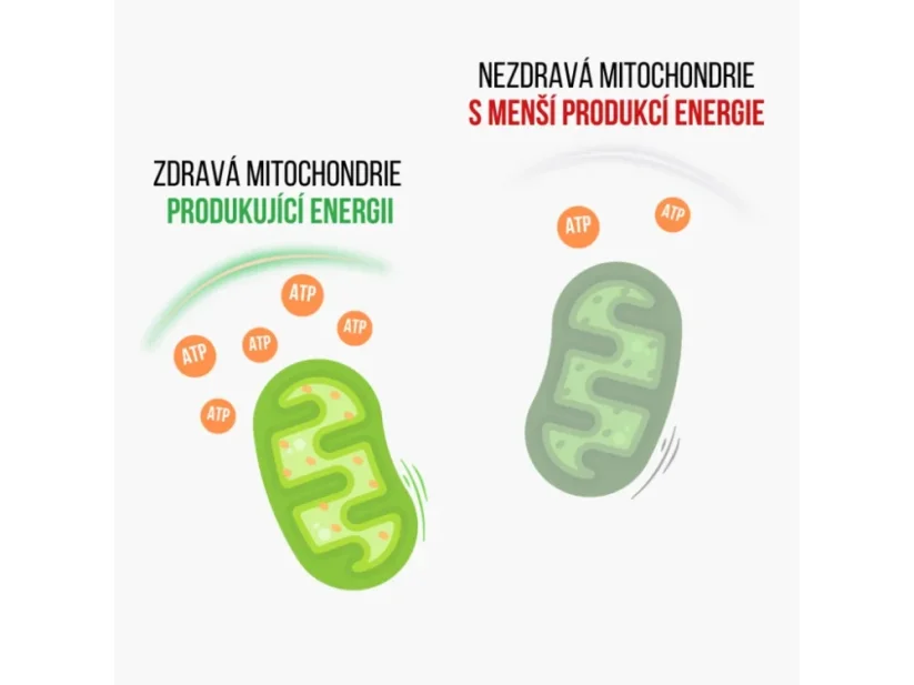 BrainMax Koenzym Q10 Ubiquinol Kaneka™ – aktivní forma Q10 s vysokou vstřebatelností, 100 mg, 60 softgel kapslí
