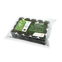Autoflower Seed Starter Kit