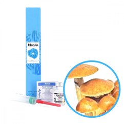 Treasure Coast Spory (Lahvička) - 10 ml