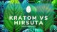 Hirsura, Javanica a Kratom - Jaký je rozdíl? Proč je Hirsuta legální?