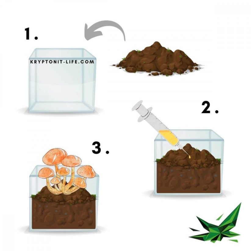 Ban Hua Thai Spory (Stříkačka) – 20 ml