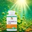 Chlorella 500 – 3000 mg | 180 vegane Kapseln - Fit-Up