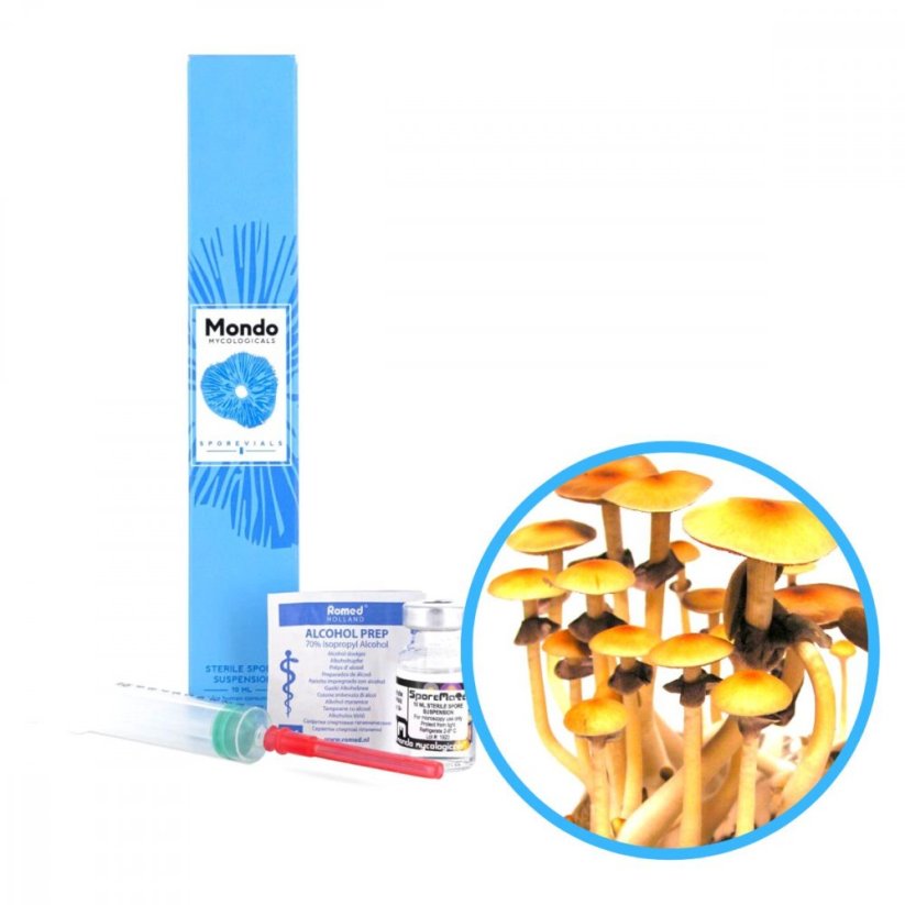 Ban Hua Thai Spory (Lahvička) – 10 ml