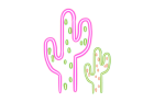 Mescaline cactus seeds