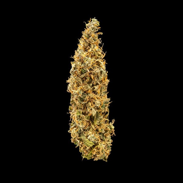 Royal Runtz Auto – Autoflowering Cannabis Seeds