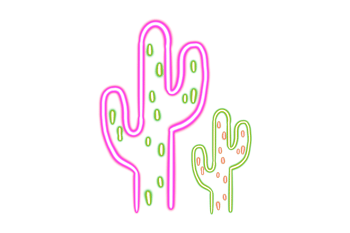 Semínka meskalin. kaktusů