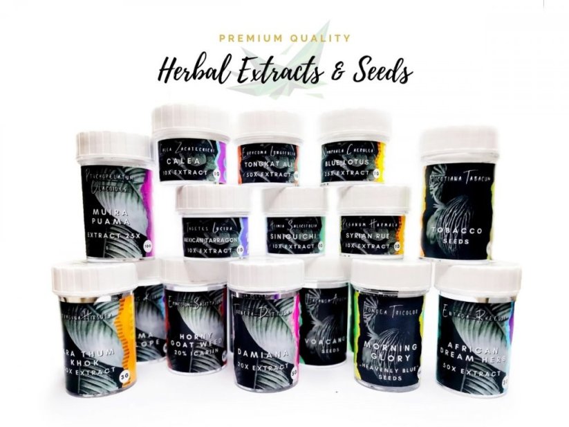 Kanna (Sceletium Tortuosum) - prášek - 10 g