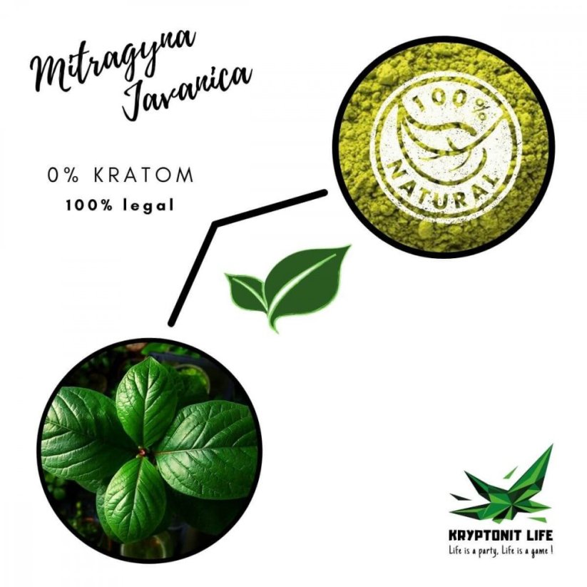 NICHT-KRATOM - Mitragyna Javanica – Koffeinschub