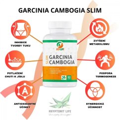 Garcinia Cambogia SLIM | 60 capsules - Aménagement