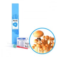 Thailand Sporen (Fläschchen) - 10 ml