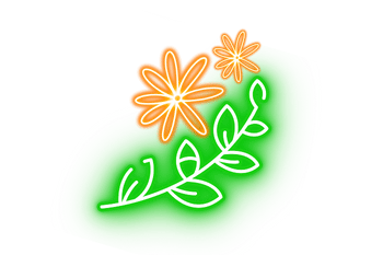 Kanna (Sceletium Tortuosum)