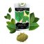 NIE-KRATOM - Mitragyna Hirsuta - Prášok