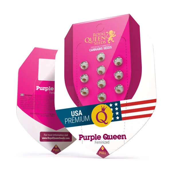 Purple Queen – Feminized Cannabis Seeds