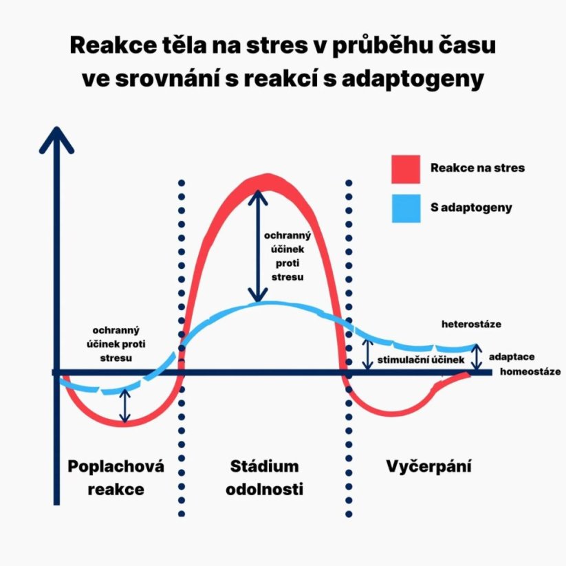 AFTERPARTY | Bojovník za rána bez těžkých kocovin! - BrainMax | 80 rostlinných kapslí