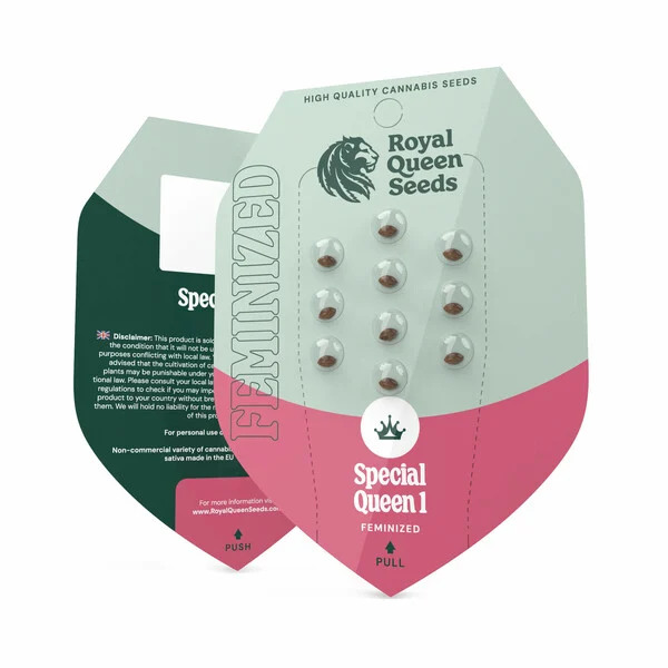 Special Queen 1 – Feminized Cannabis Seeds