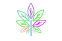 🍁 CBD & CBG