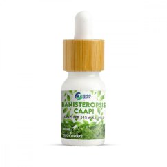 Banisteriopsis caapi - Red, Rojo - Alkaloidový Extrakt 20% - Tinktúra - 10 ml