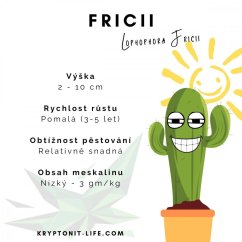 Fríciu - Lophophora fricii - Semená - 5x
