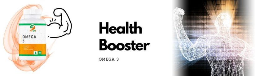 Essentielles Omega 3 | 90 Gelkapseln - Fit-Up