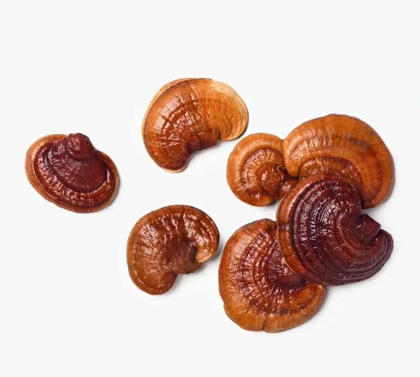 BrainMax Reishi extrakt 500 mg | 50 % polysacharidů & 20 % beta-glukanů – 100 rostlinných kapslí