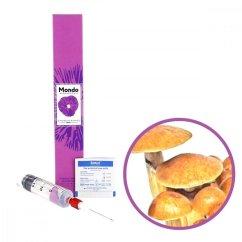 Treasure Coast Spory (Stříkačka) - 20 ml