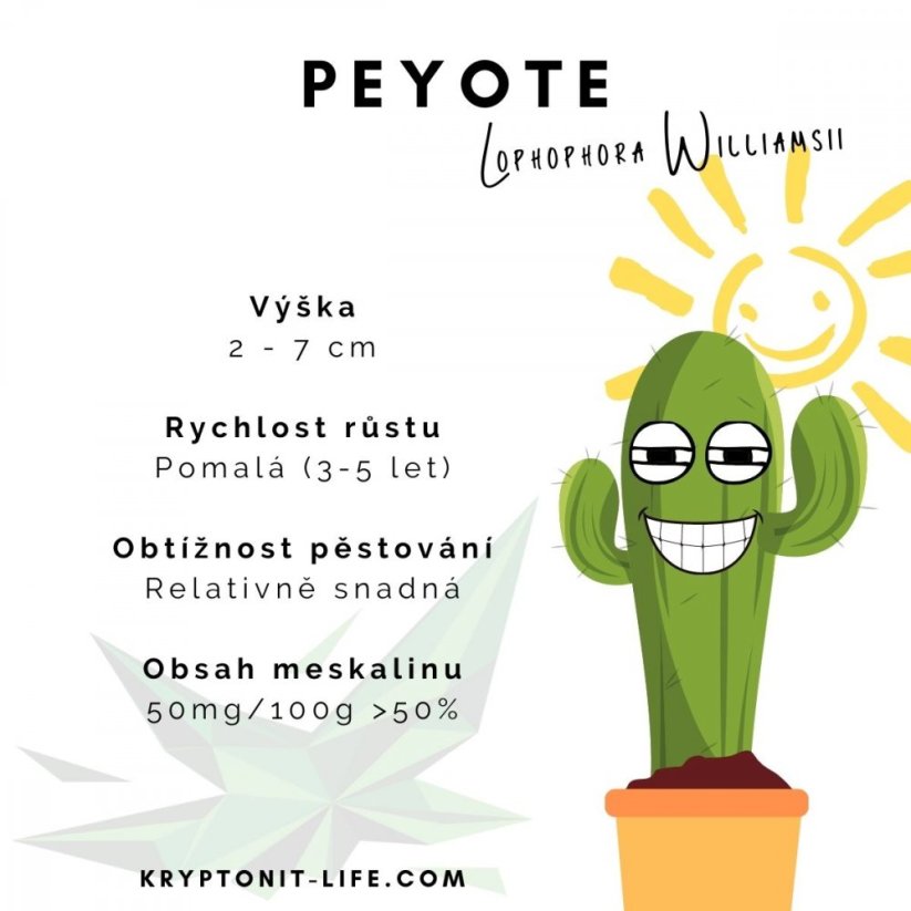Sada na pěstování kaktusu - Peyote - Lophophora williamsii