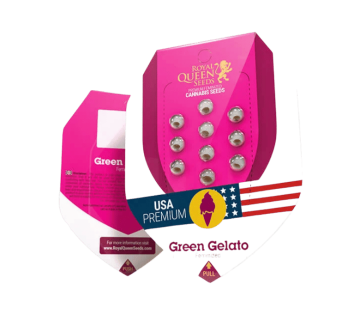 ♀️ Feminizovaná semena (Feminized Seeds)