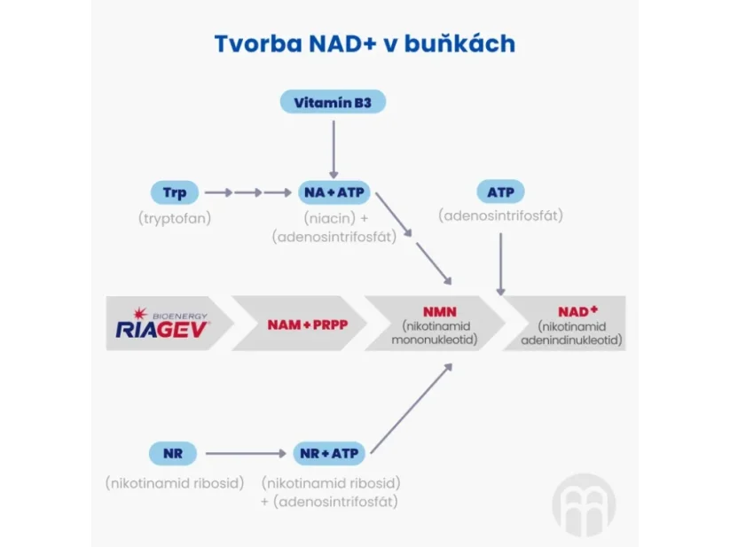 BrainMax NAD+ RiaGev® 750 mg | 100 rostlinných kapslí – energie a vitalita