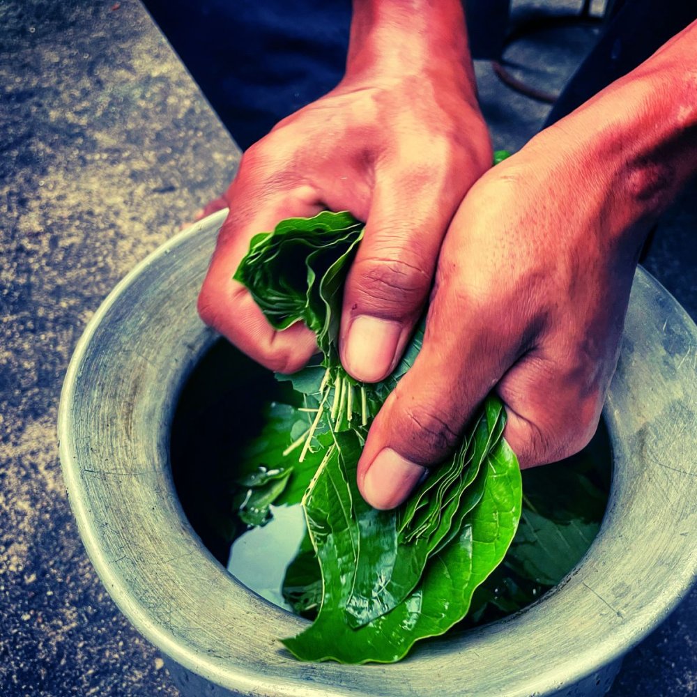 JE KRATOM LEGÁLNÍ?