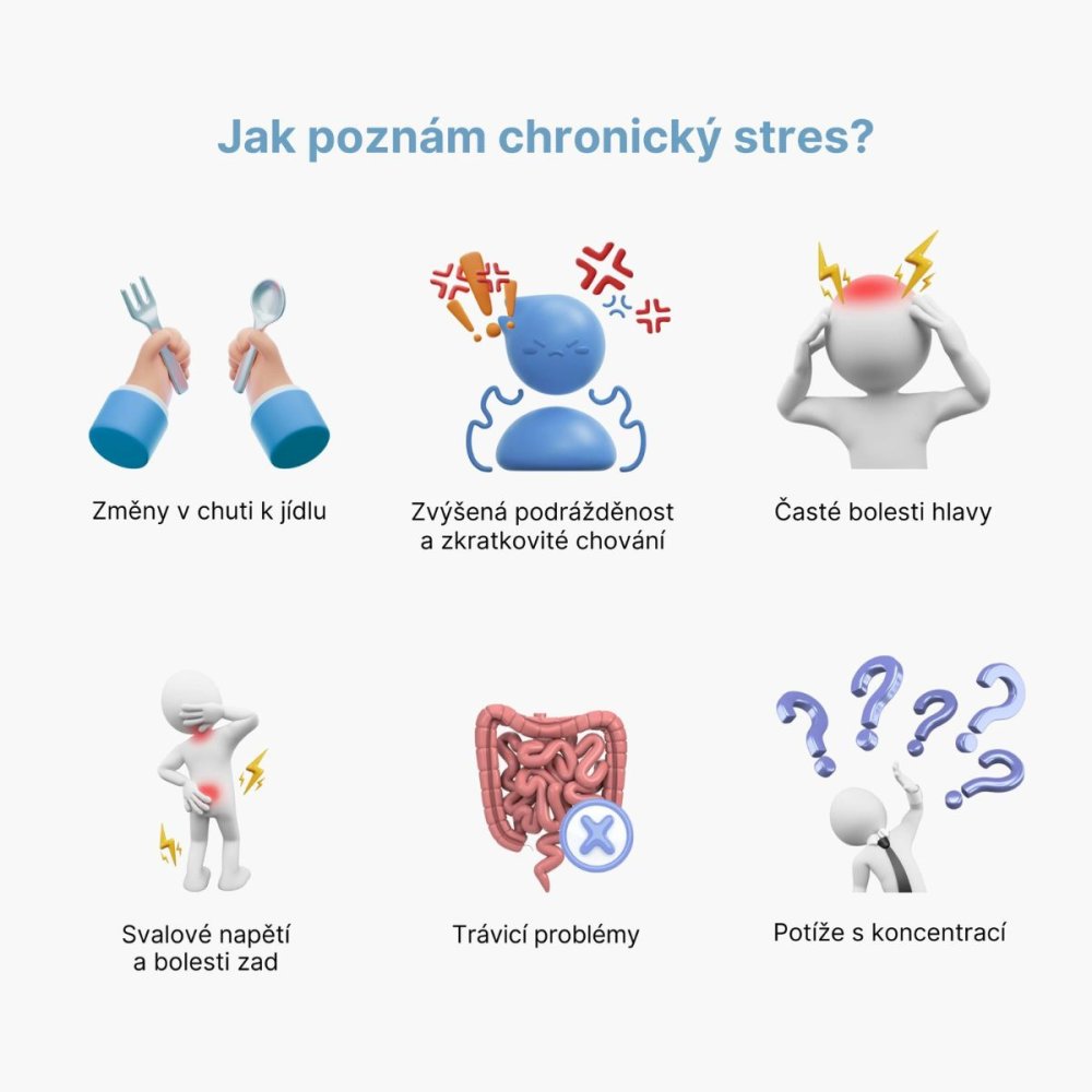 BrainMax Cortisol Stress Support – Komplex pro zvládání stresu (60 rostlinných kapslí)