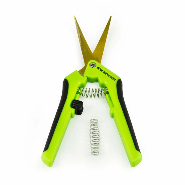 ✂️ Ciseaux de taille courbés | Outil de précision pour le travail de détail