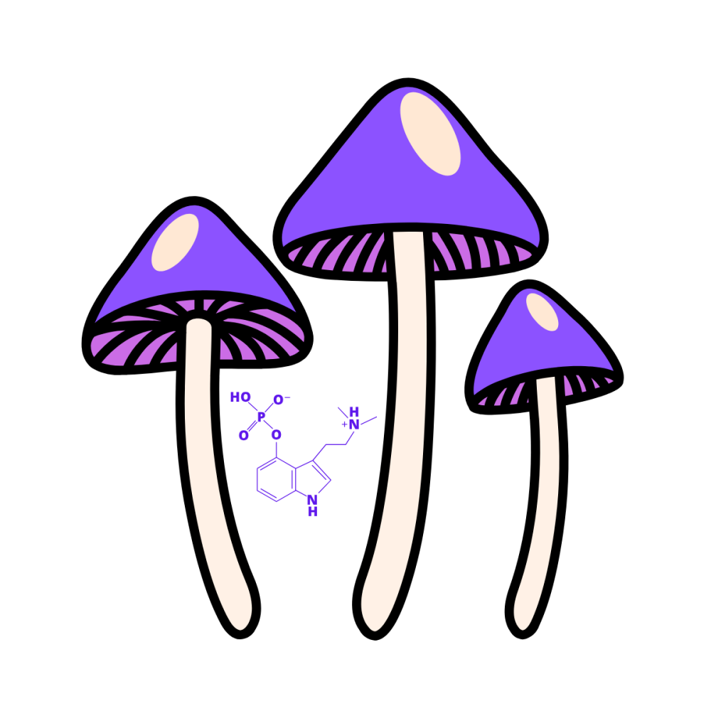 Historie magických hub a psilocybinu: